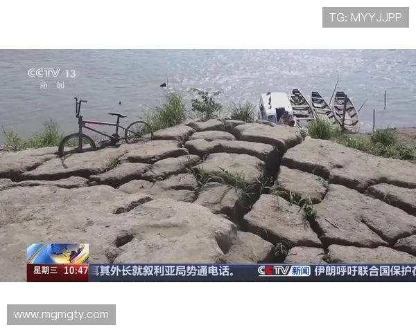 凤凰台新闻直播：全球热点事件实时追踪报道